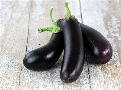 Eggplant 'Diamond' – Birdland Organic Seeds