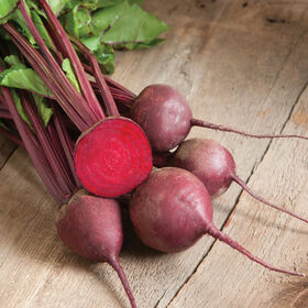 Beetroot 'Boro' F1