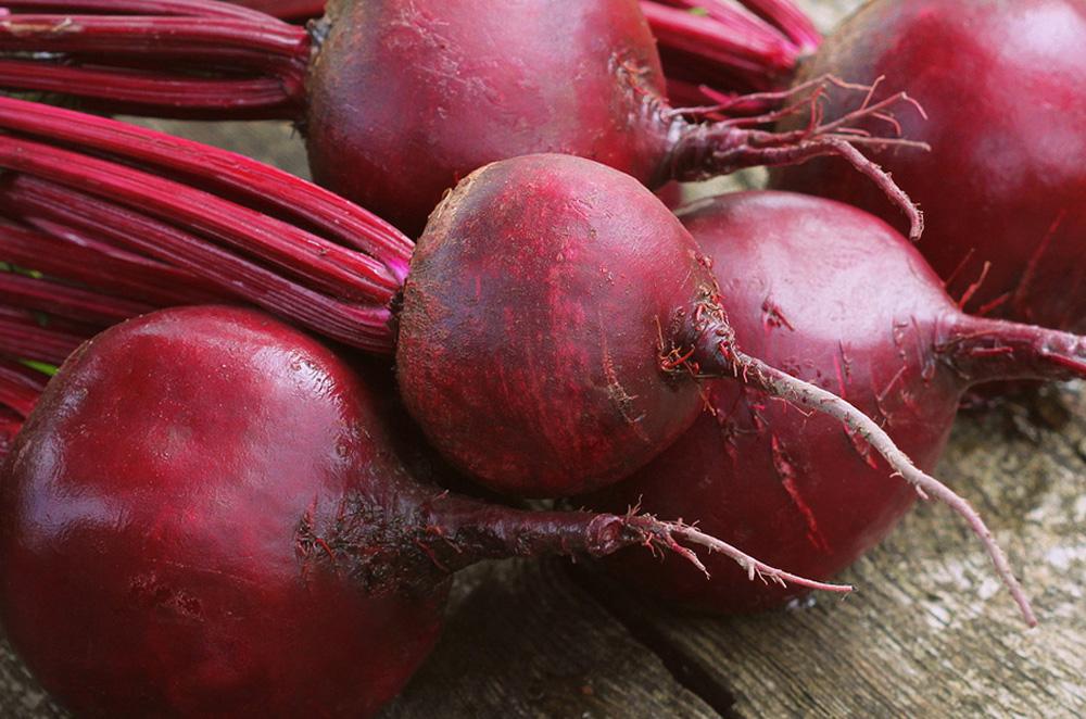 Beetroot 'Bulls Blood'