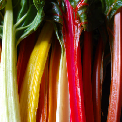 Chard 'Rainbow Mix'