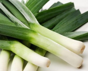 Leek 'King Richard'