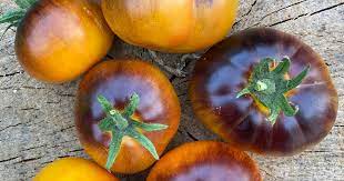 Tomato 'Lucid Gem'