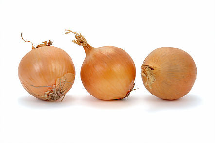 Onion 'PLK'
