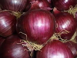 Onion 'Sheffield Red'