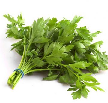 Parsley 'Italian'