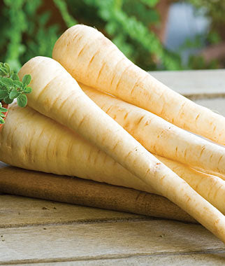 Parsnip 'Melbourne Market'