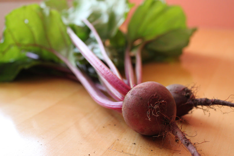 Beetroot 'Early Wonder Tall Top'