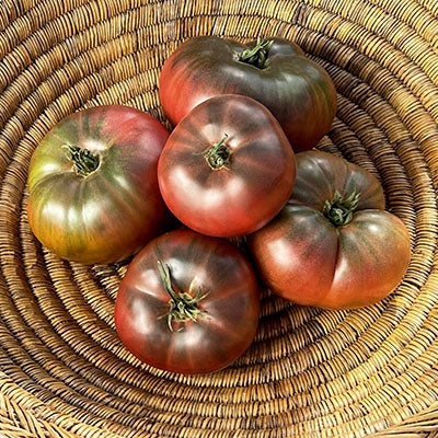 Tomato 'Black Russian'